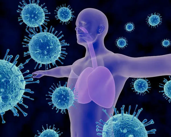 A close-up image of a garlic clove surrounded by immune-boosting supplements, illustrating allicin's role in nature's defense against cold and flu.