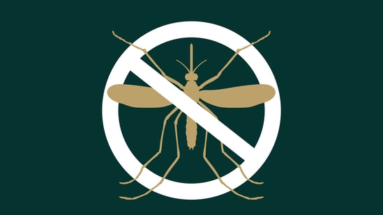 Allicin Power: A Natural Mosquito Repellent with Health Benefits