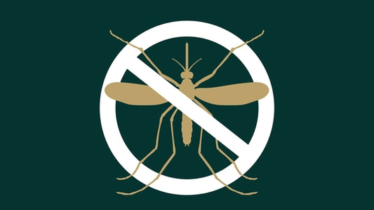 Allicin Power: A Natural Mosquito Repellent with Health Benefits