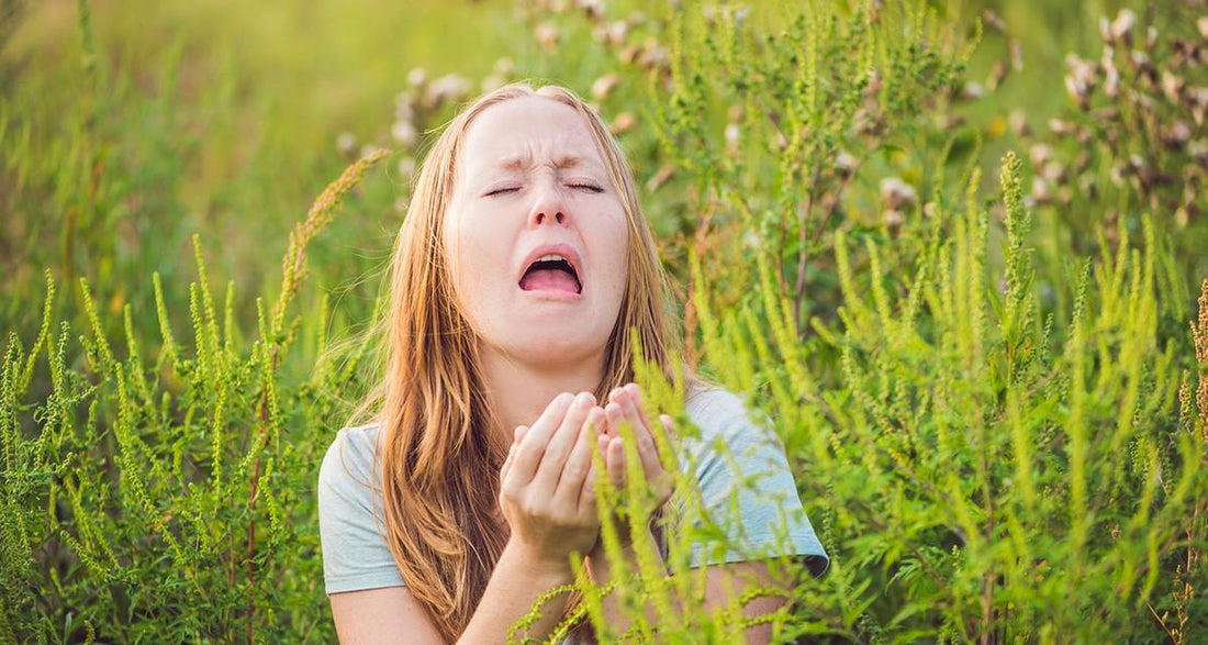 Stay Healthy This Summer: How Allicin Boosts Your Immune System