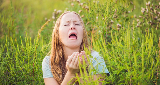 Stay Healthy This Summer: How Allicin Boosts Your Immune System