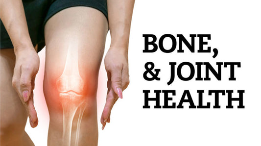 Allicin and Bone Health: How Garlic Strengthens Your Skeletal System
