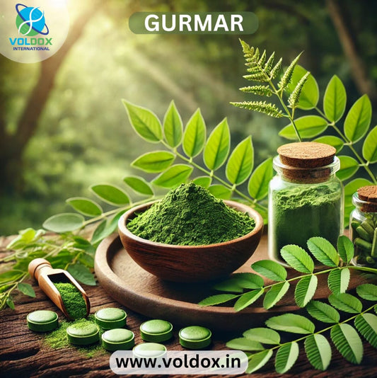 Gurmar: The Sugar Destroyer and Its Powerful Health Benefits