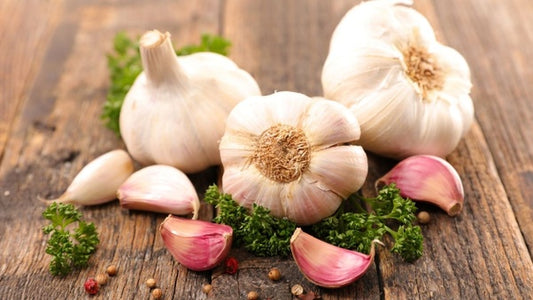 From Antibiotic to Antioxidant: The Multifaceted Benefits of Allicin